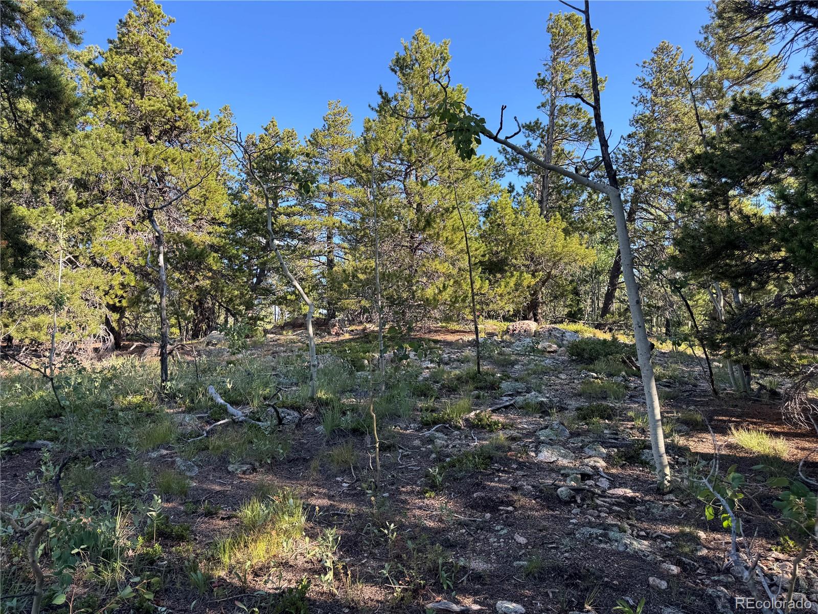 001 Peak View Drive Black Hawk CO 80422