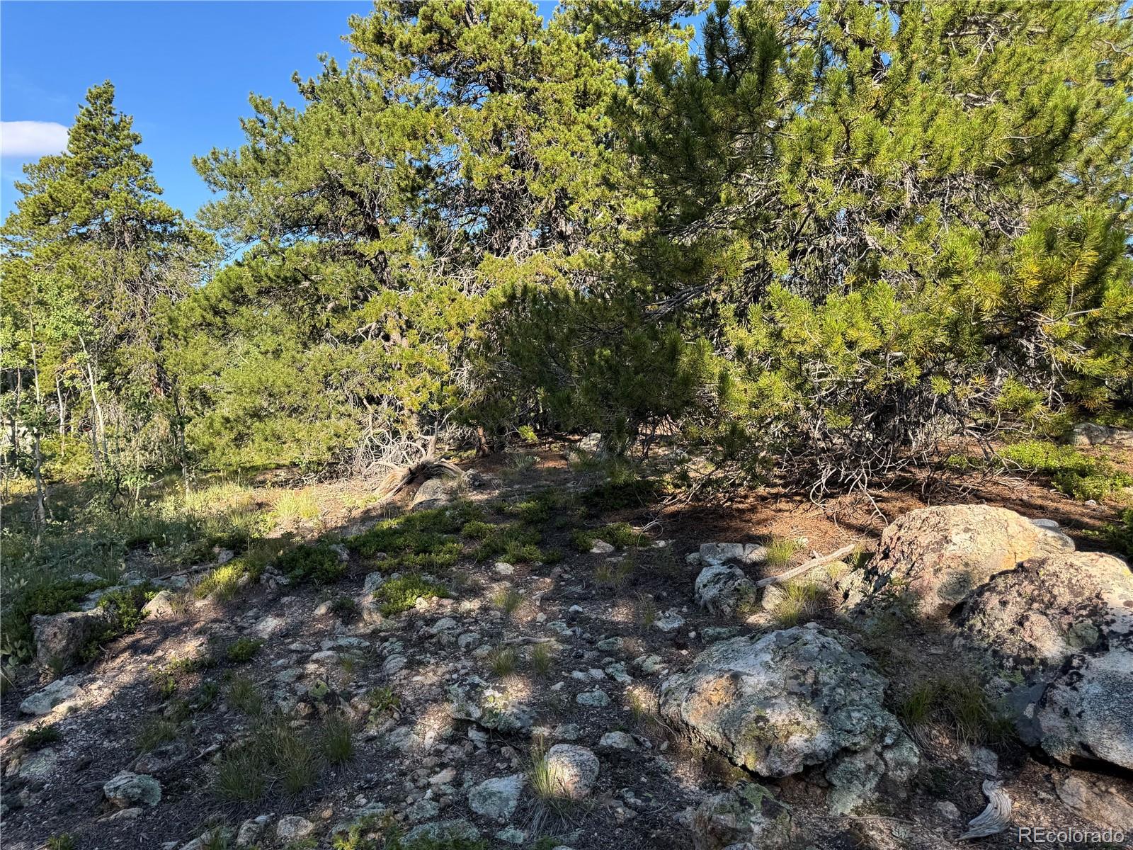 001 Peak View Drive Black Hawk CO 80422