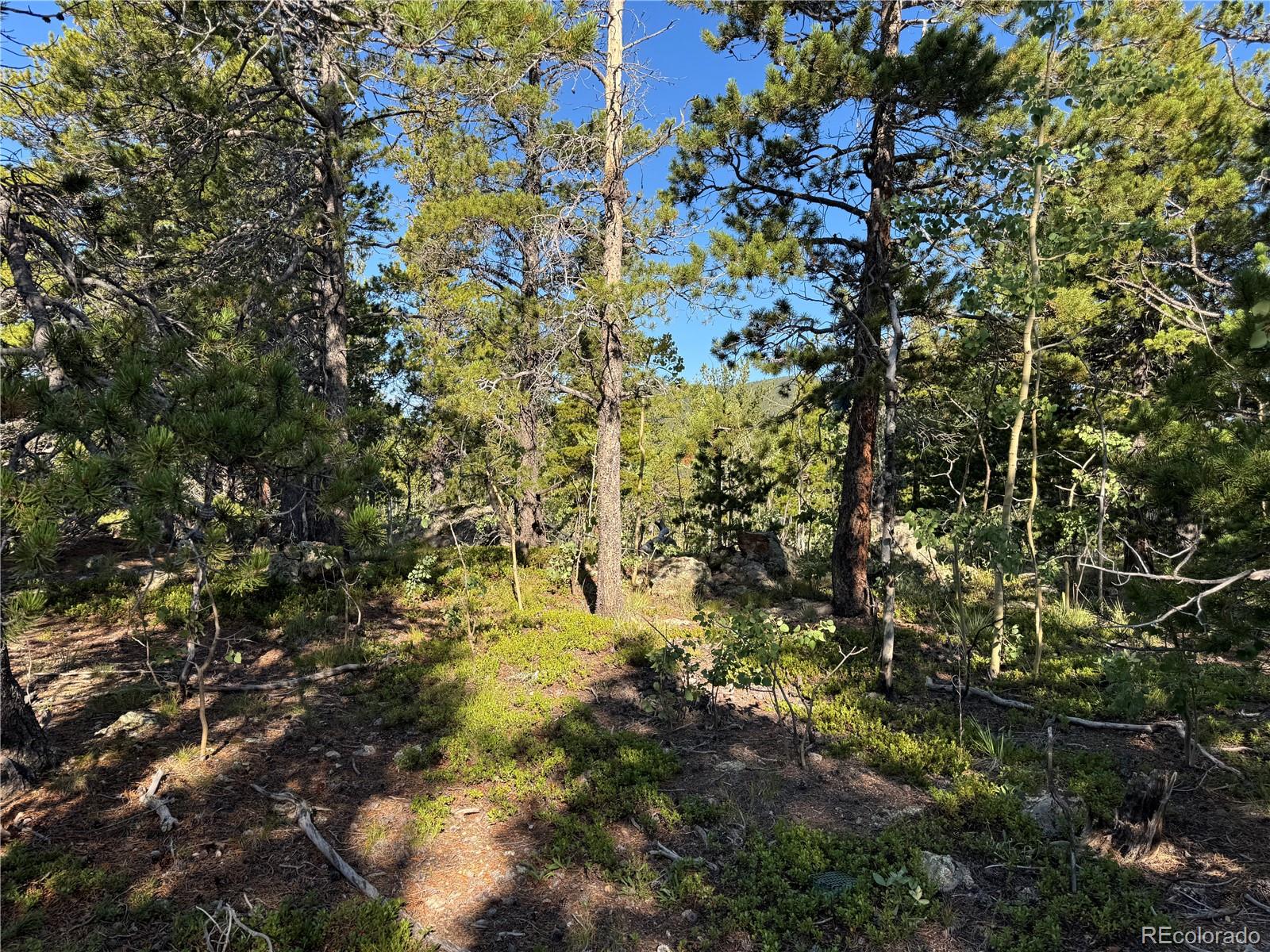 001 Peak View Drive Black Hawk CO 80422