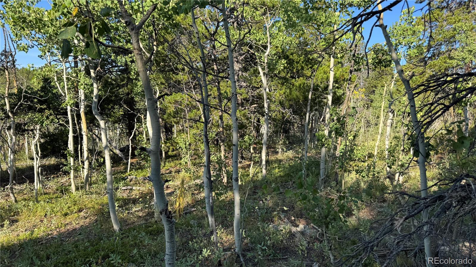 001 Peak View Drive Black Hawk CO 80422