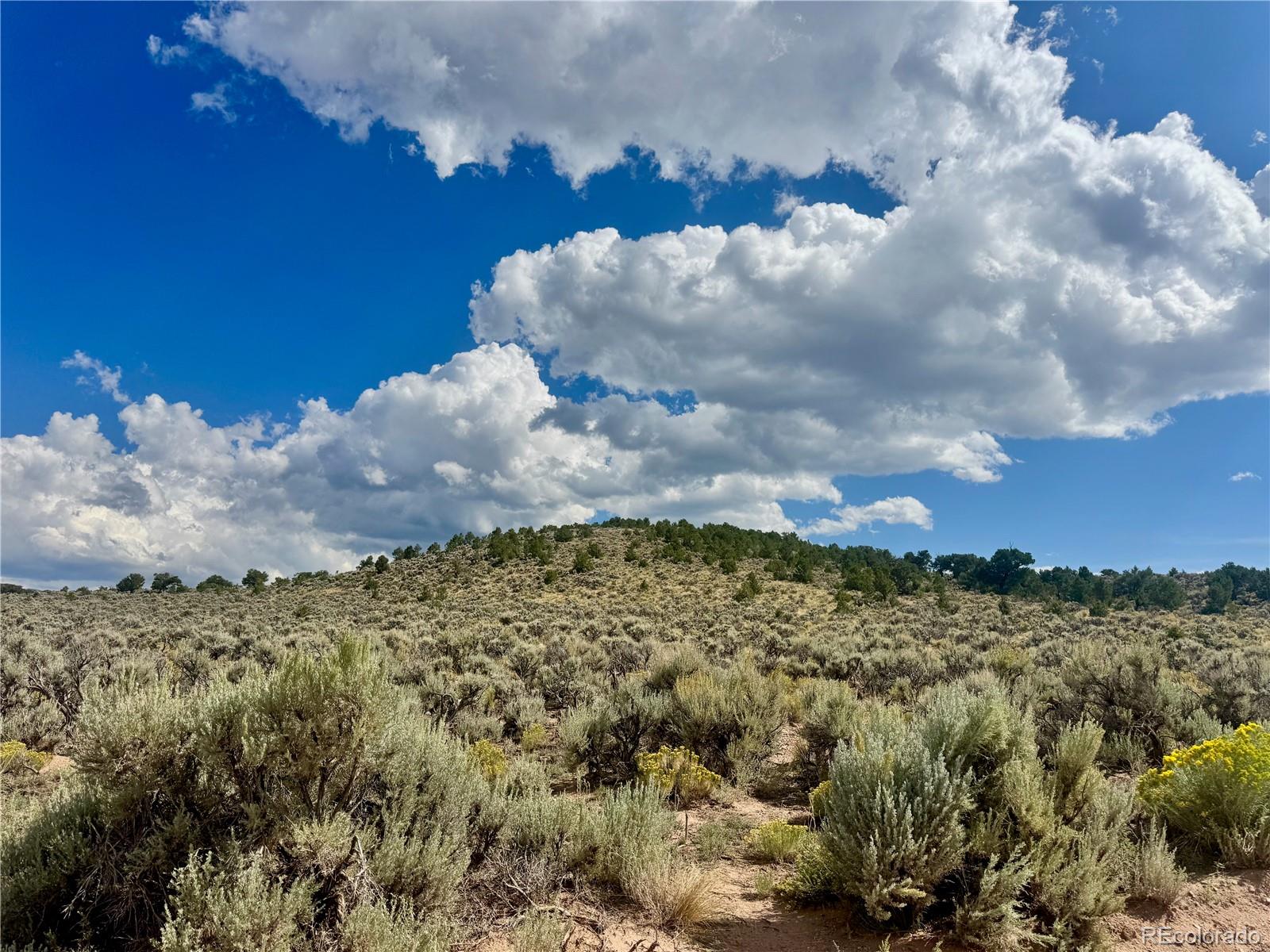 Lot 3425 Mclaughlin Road Fort Garland CO 81133