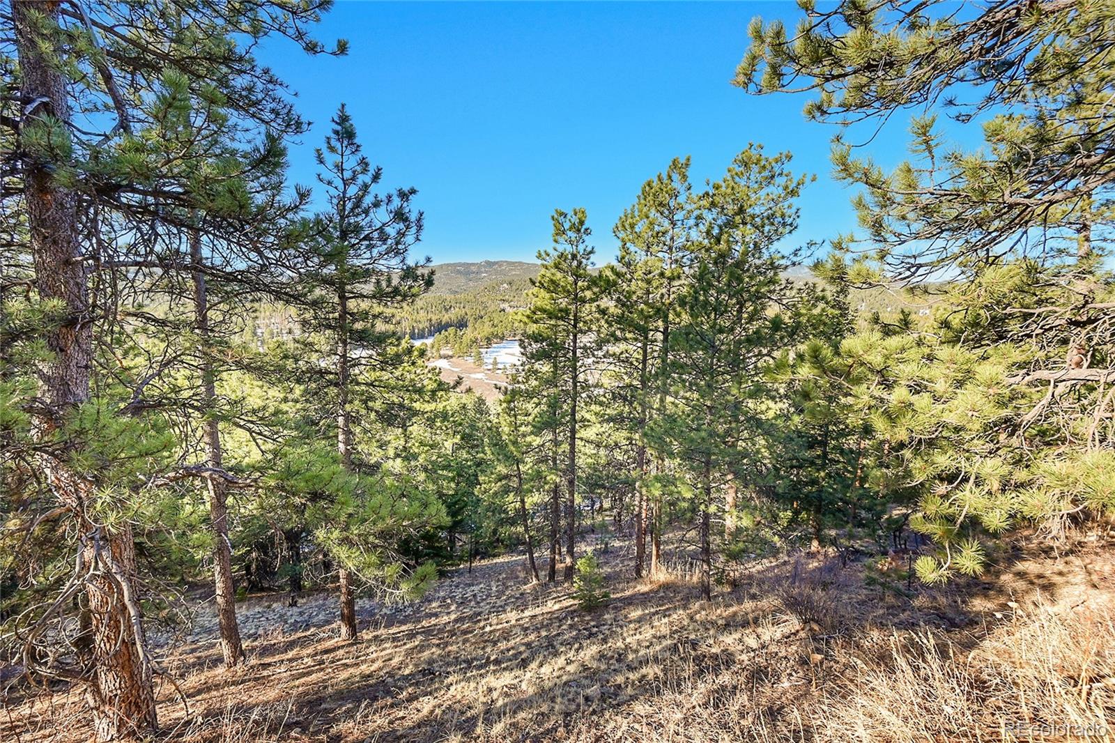 27292 Ridge Trail Conifer CO 80433