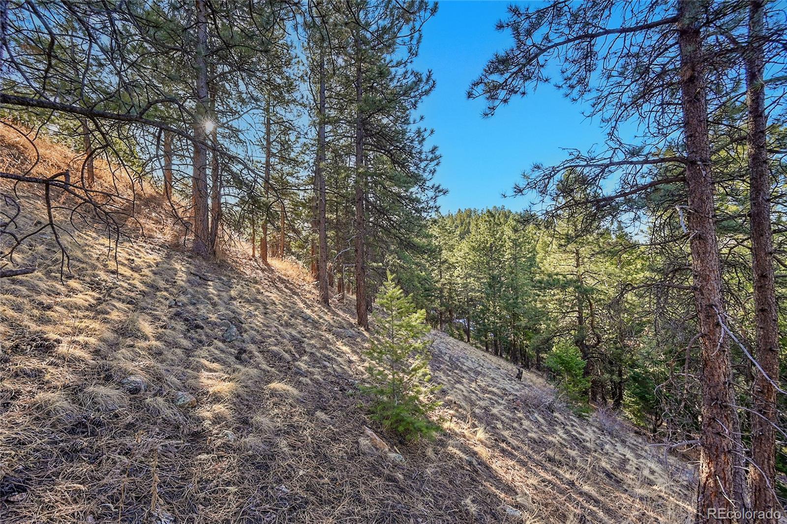 27292 Ridge Trail Conifer CO 80433