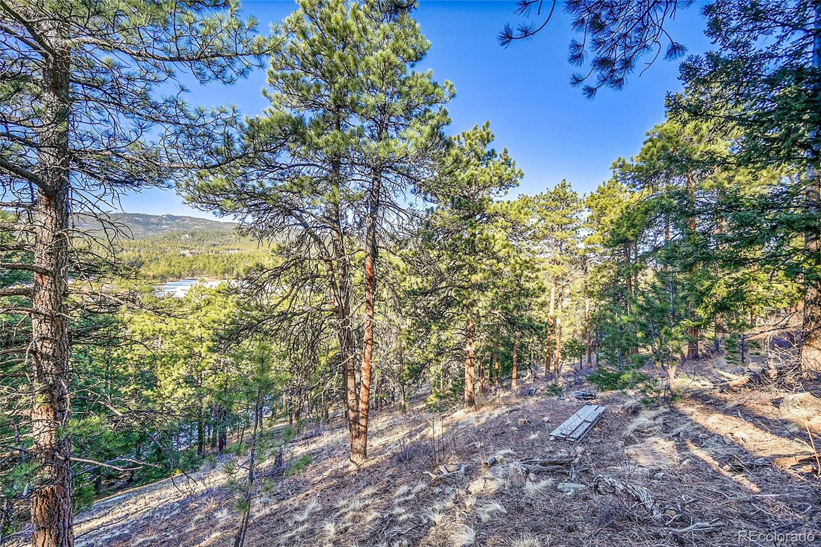 27292 Ridge Trail Conifer CO 80433