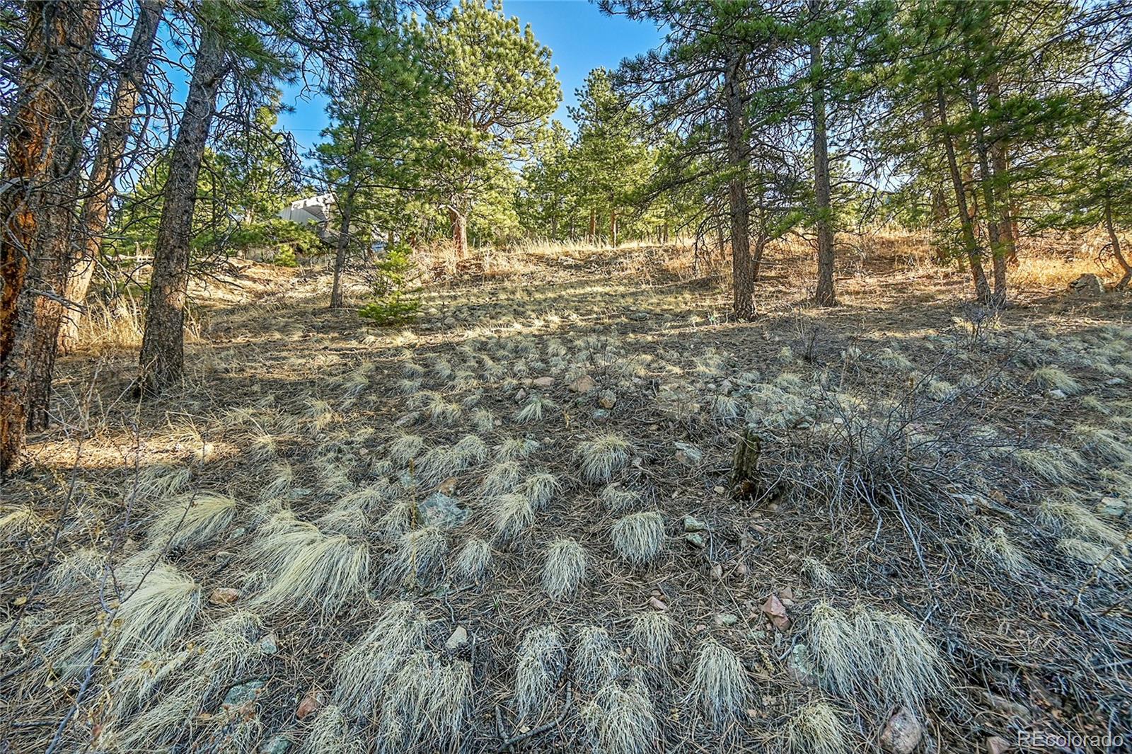 27292 Ridge Trail Conifer CO 80433