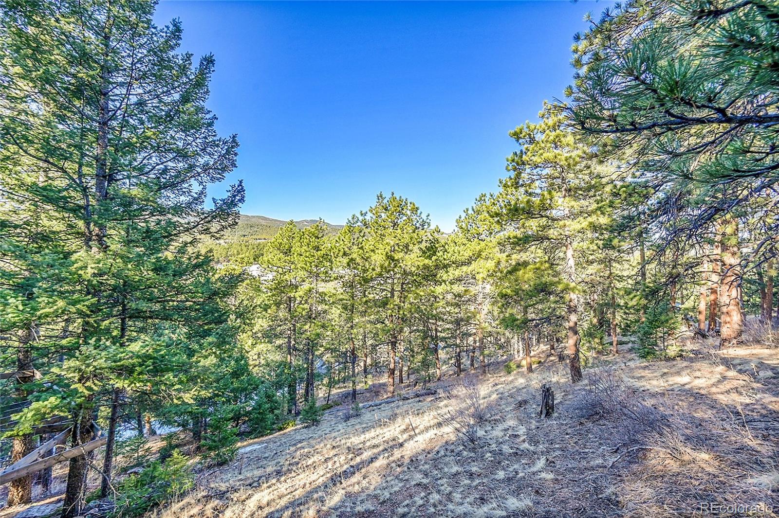 27292 Ridge Trail Conifer CO 80433