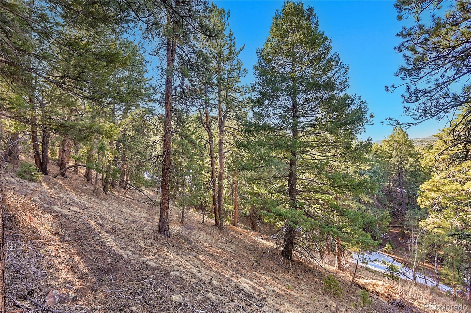 27292 Ridge Trail Conifer CO 80433