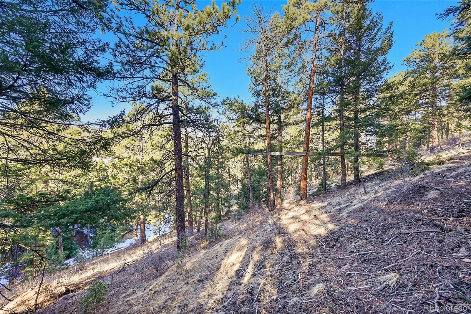 27292 Ridge Trail Conifer CO 80433