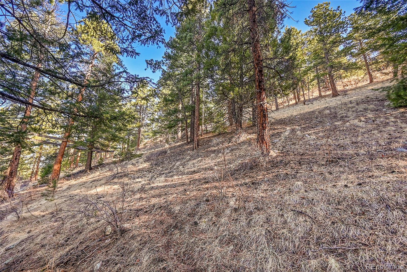 27292 Ridge Trail Conifer CO 80433
