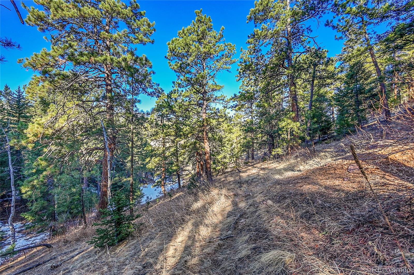 27292 Ridge Trail Conifer CO 80433