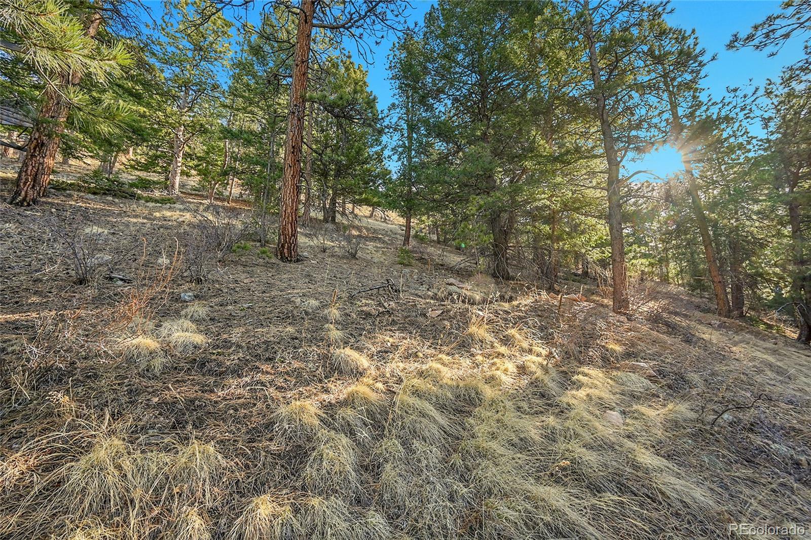 27292 Ridge Trail Conifer CO 80433