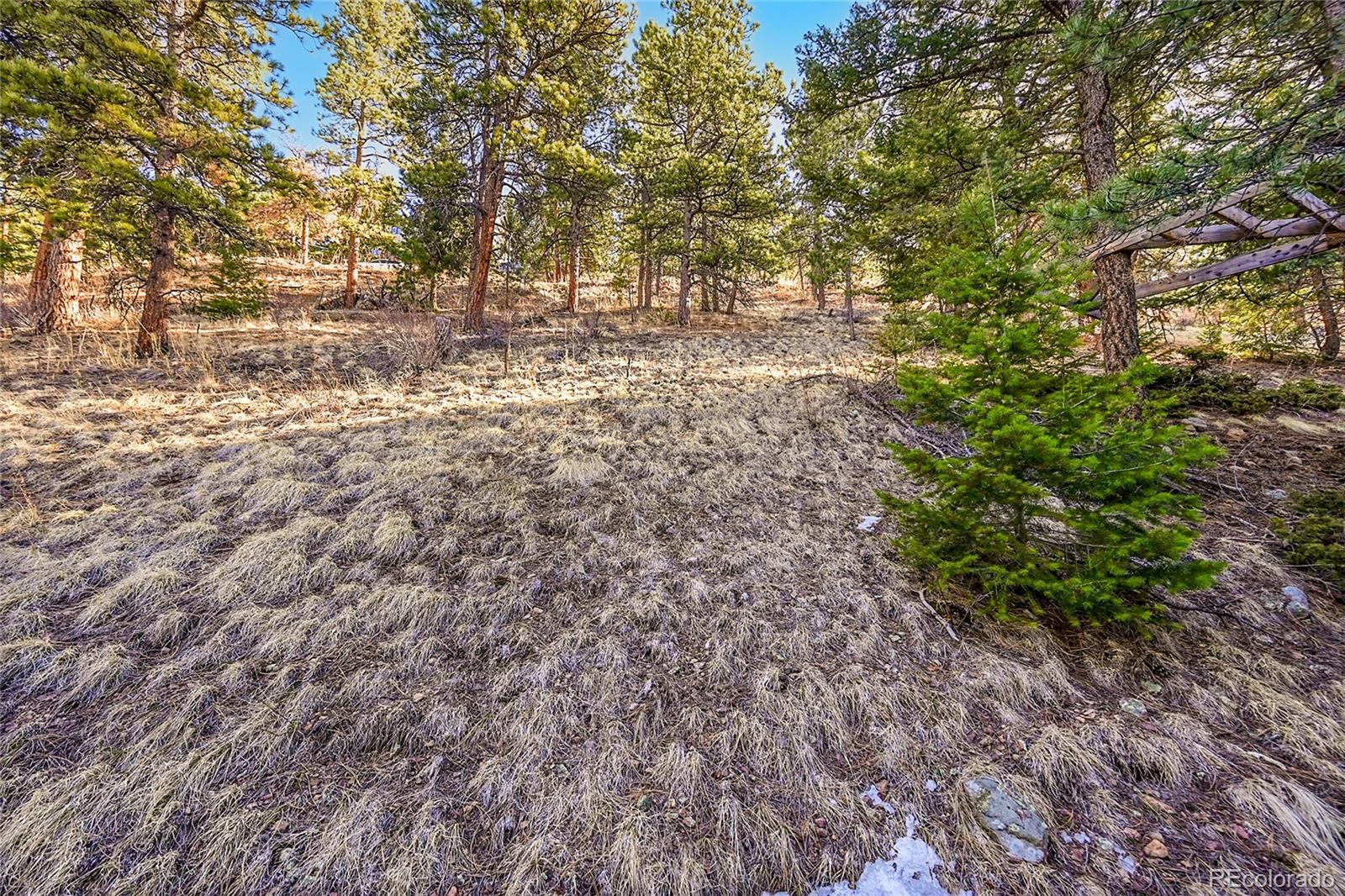 27292 Ridge Trail Conifer CO 80433