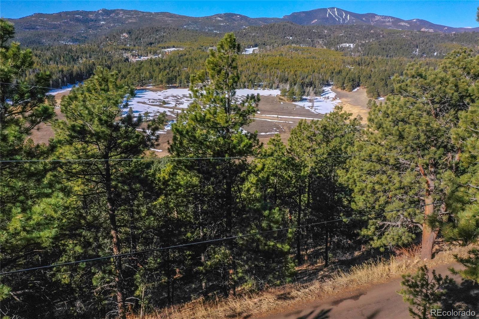 27292 Ridge Trail Conifer CO 80433