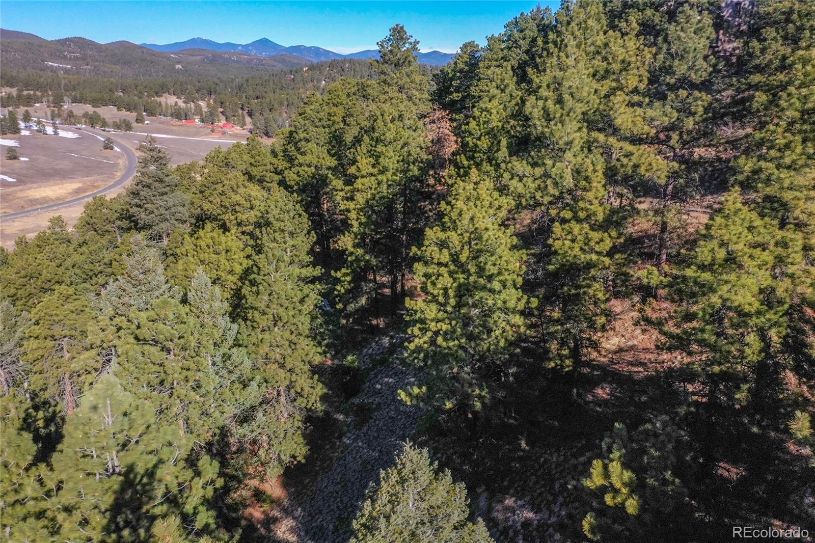 27292 Ridge Trail Conifer CO 80433
