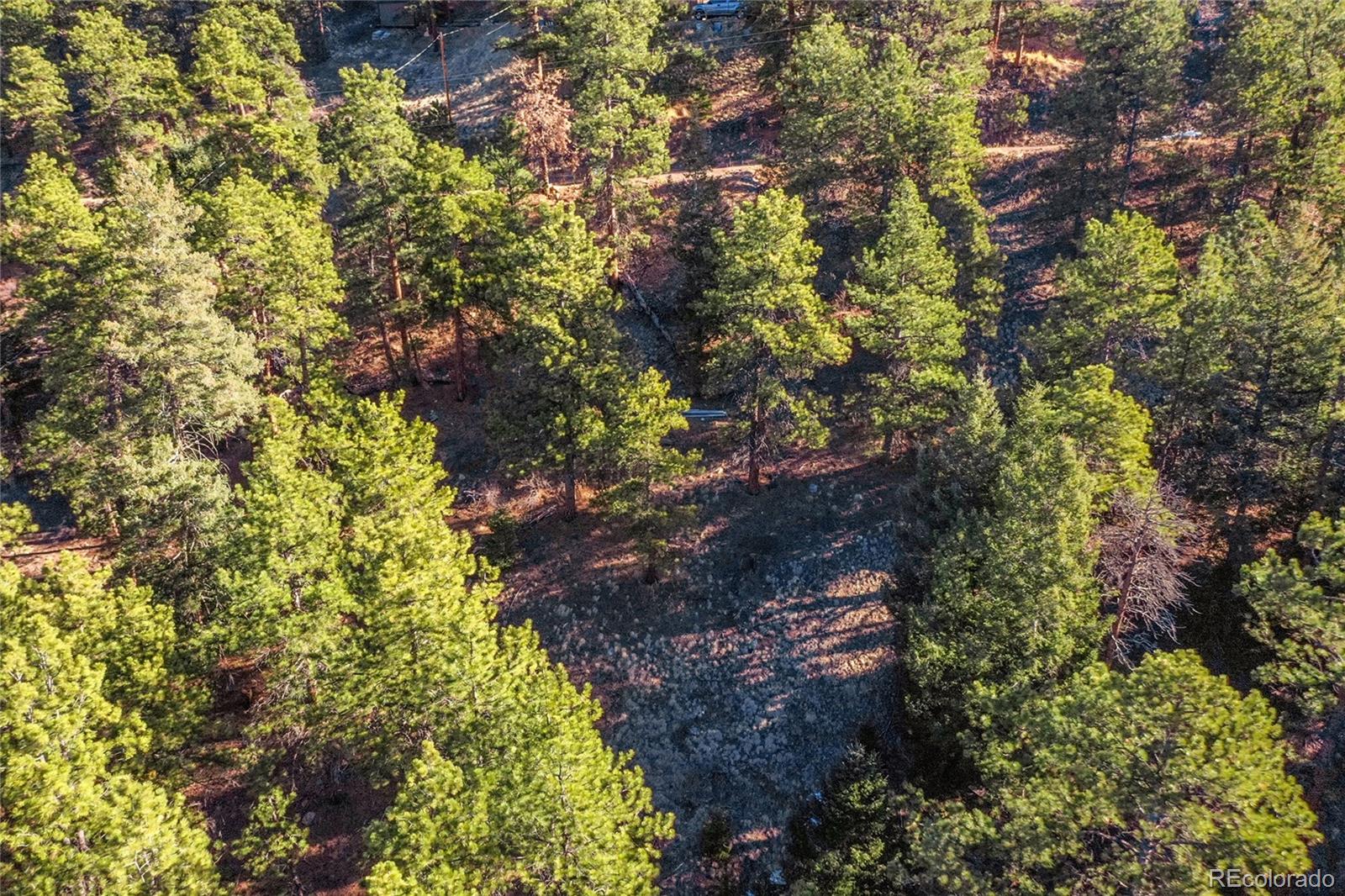 27292 Ridge Trail Conifer CO 80433