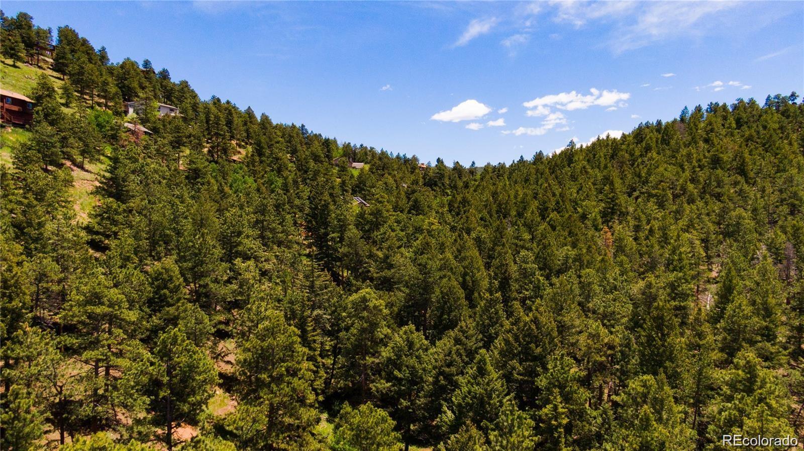 27292 Ridge Trail Conifer CO 80433