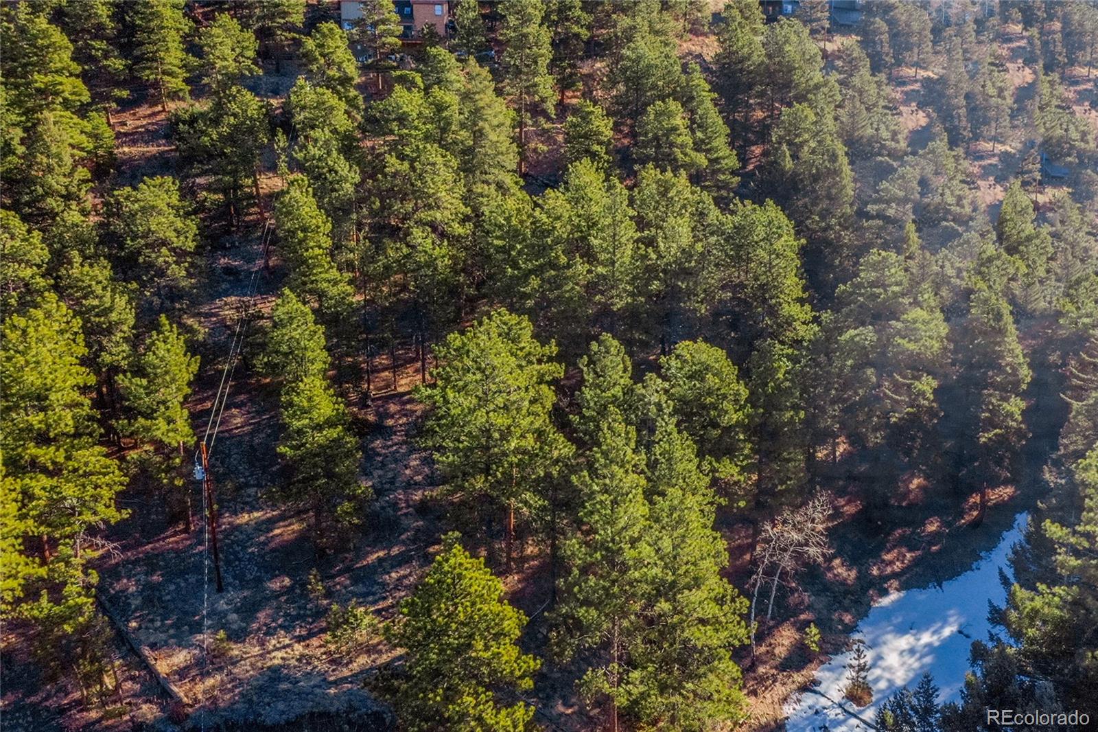 27292 Ridge Trail Conifer CO 80433