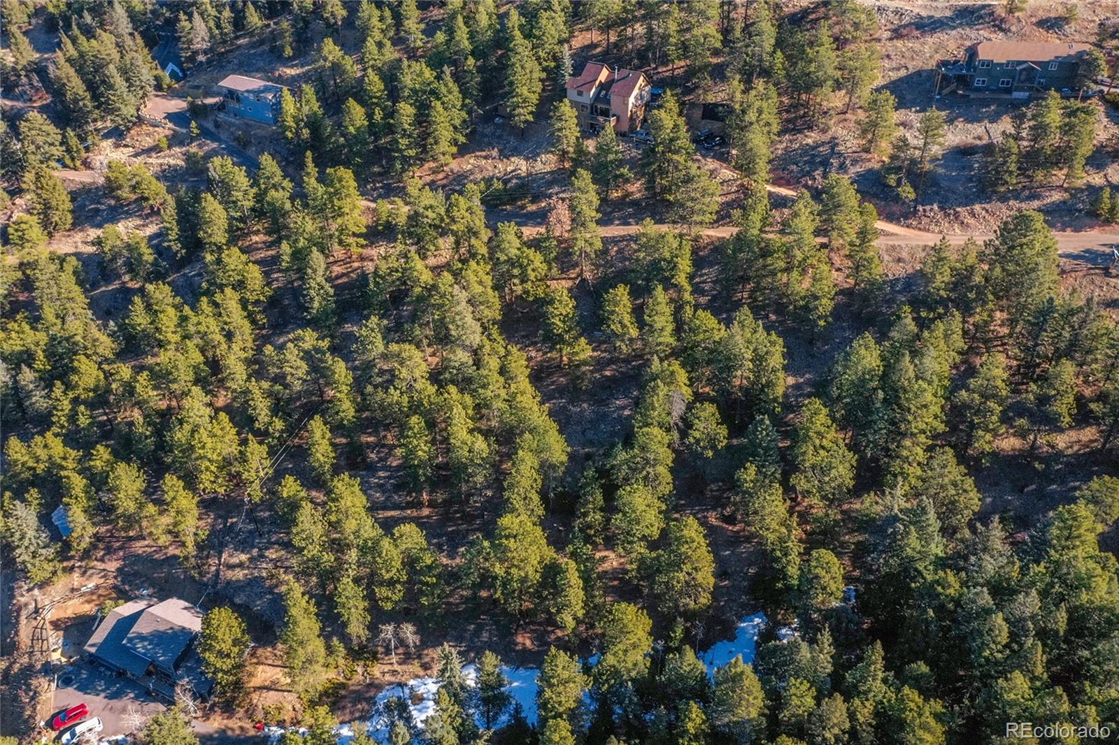 27292 Ridge Trail Conifer CO 80433