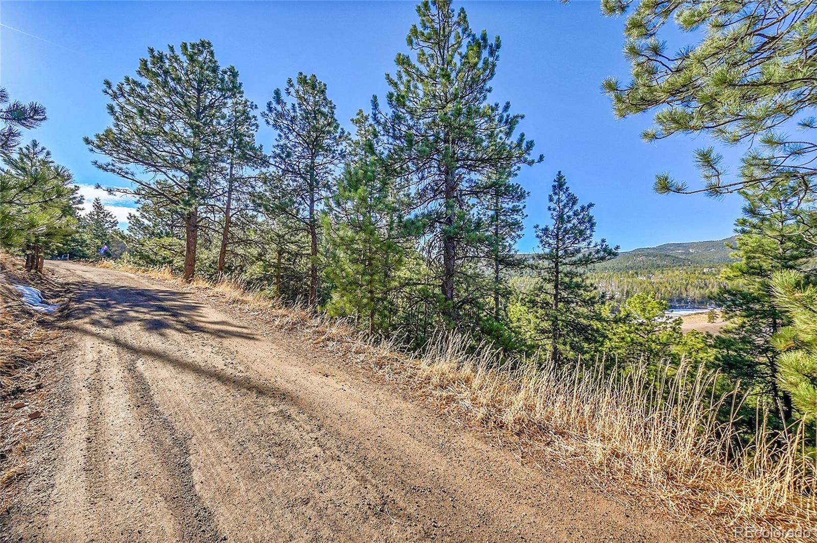 27292 Ridge Trail Conifer CO 80433