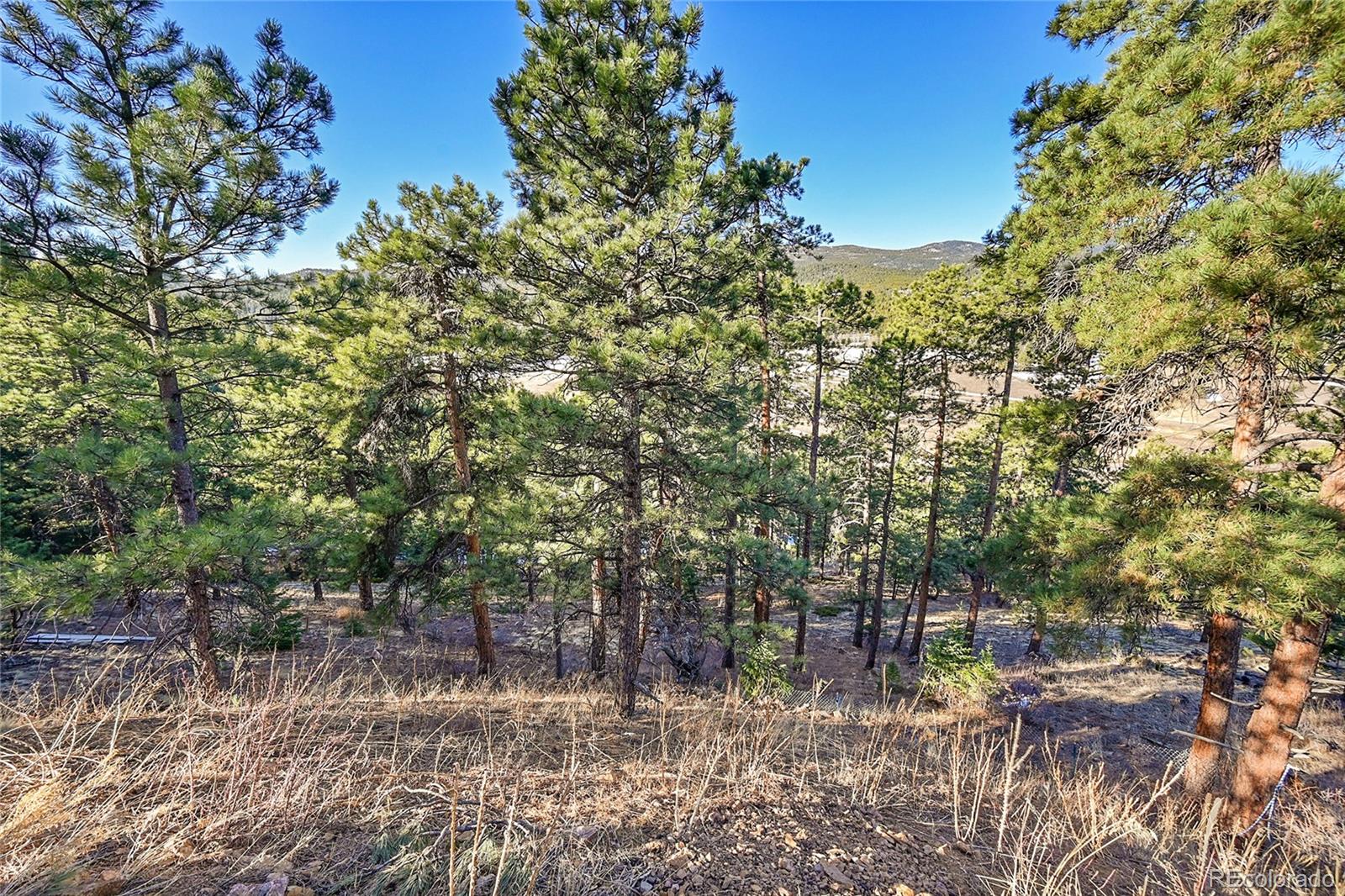 27292 Ridge Trail Conifer CO 80433
