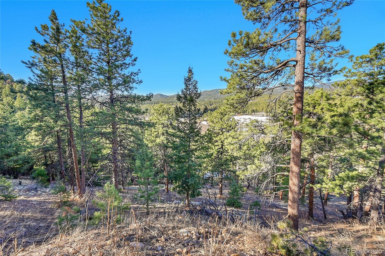 27292 Ridge Trail Conifer CO 80433