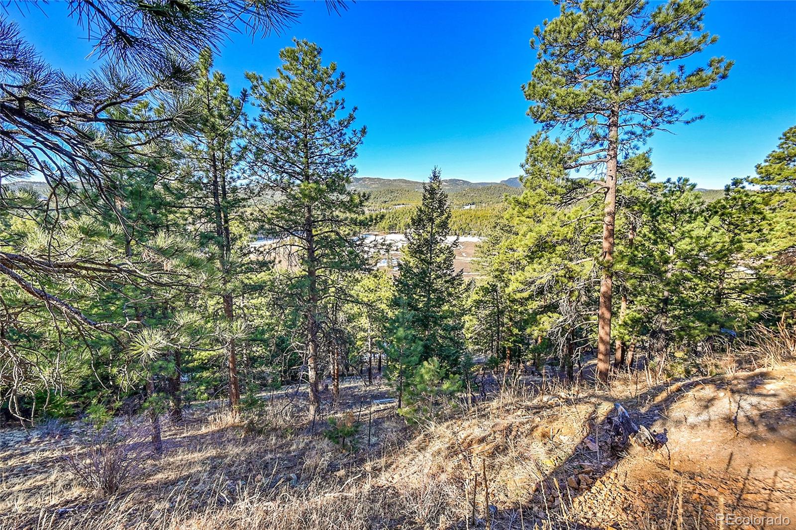 27292 Ridge Trail Conifer CO 80433