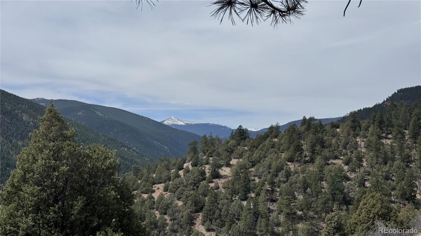 257 Wildlife Trail Idaho Springs CO 80453