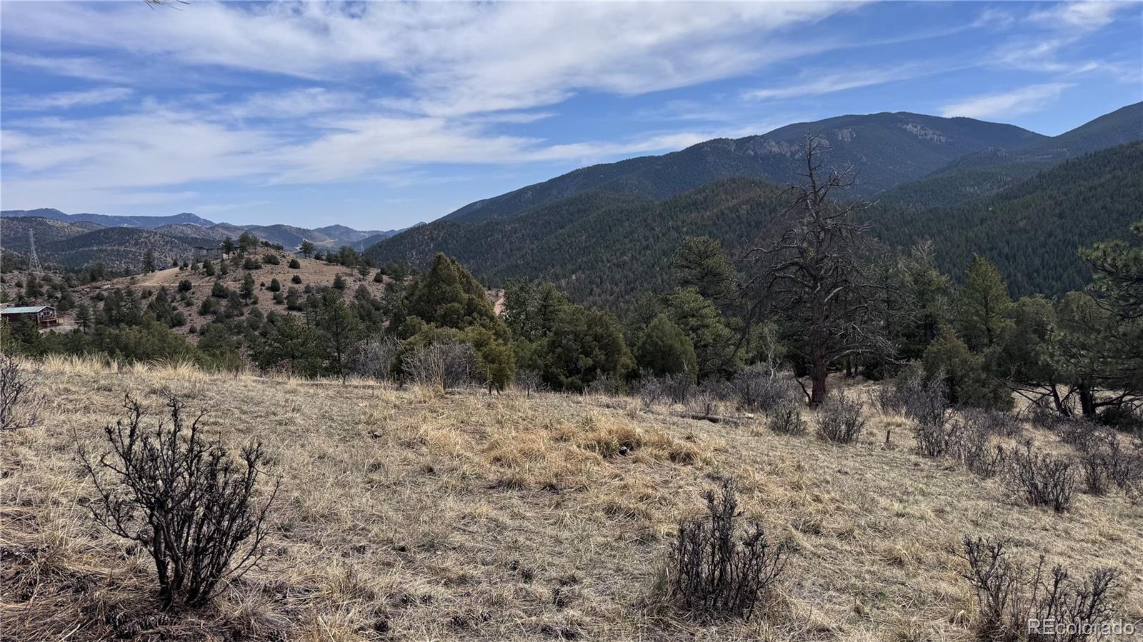 257 Wildlife Trail Idaho Springs CO 80453
