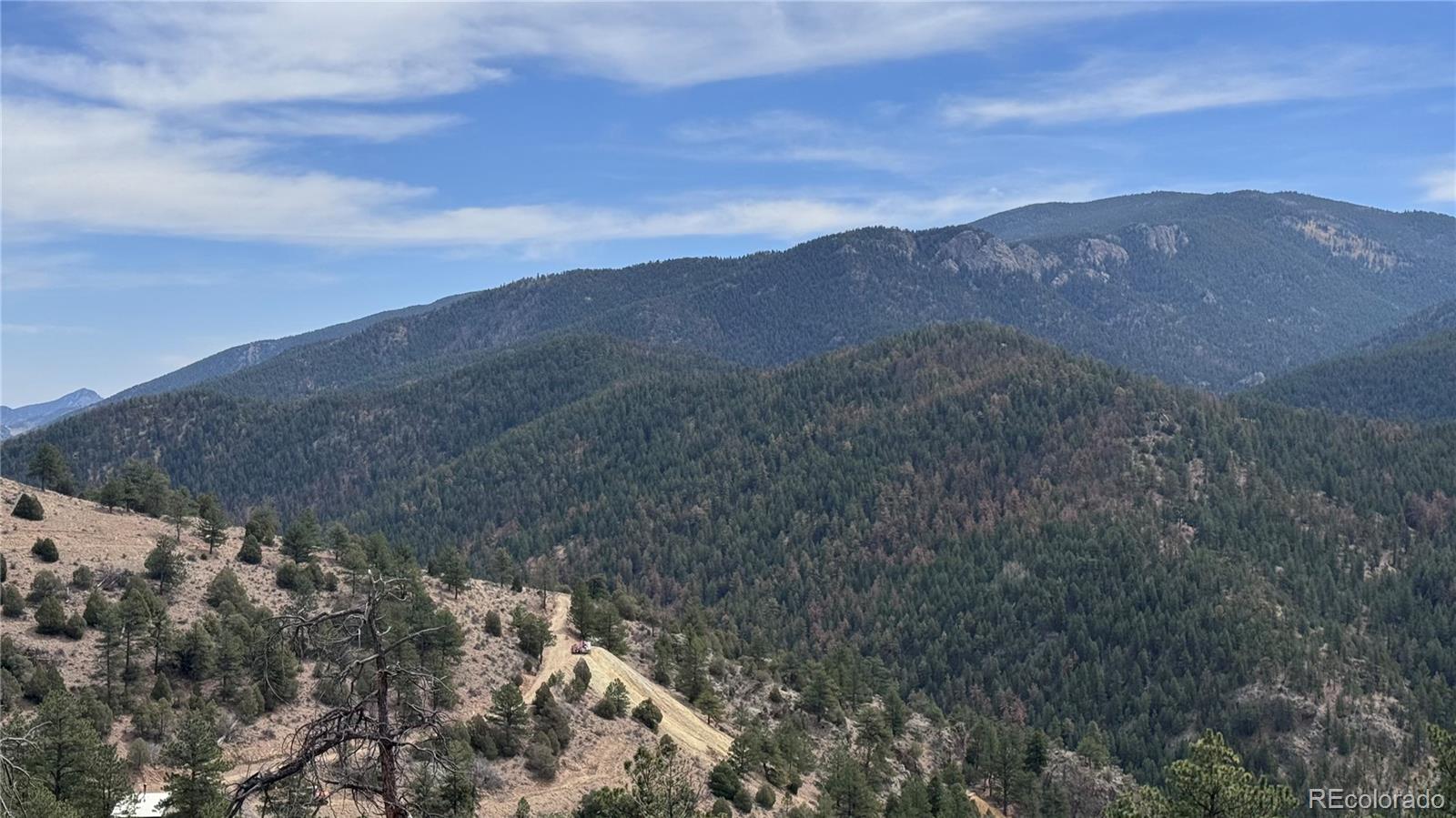 257 Wildlife Trail Idaho Springs CO 80453
