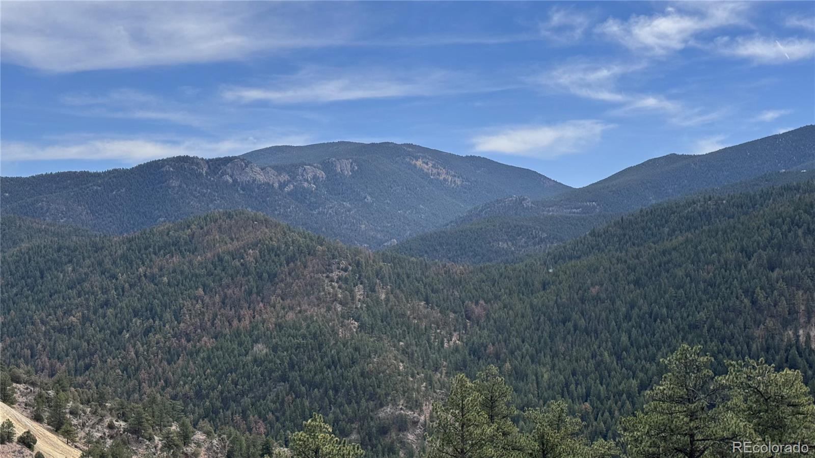 257 Wildlife Trail Idaho Springs CO 80453