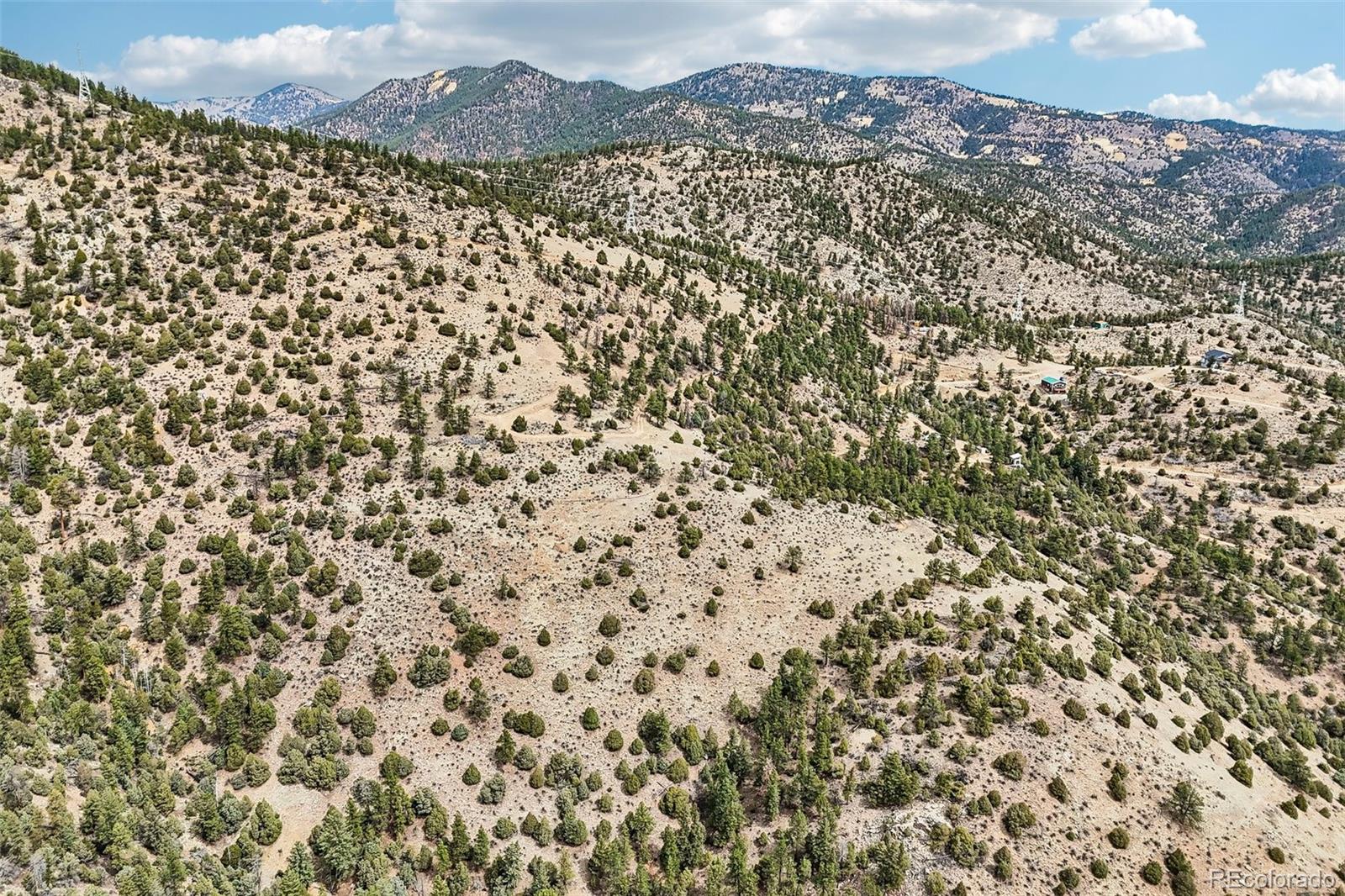 257 Wildlife Trail Idaho Springs CO 80453