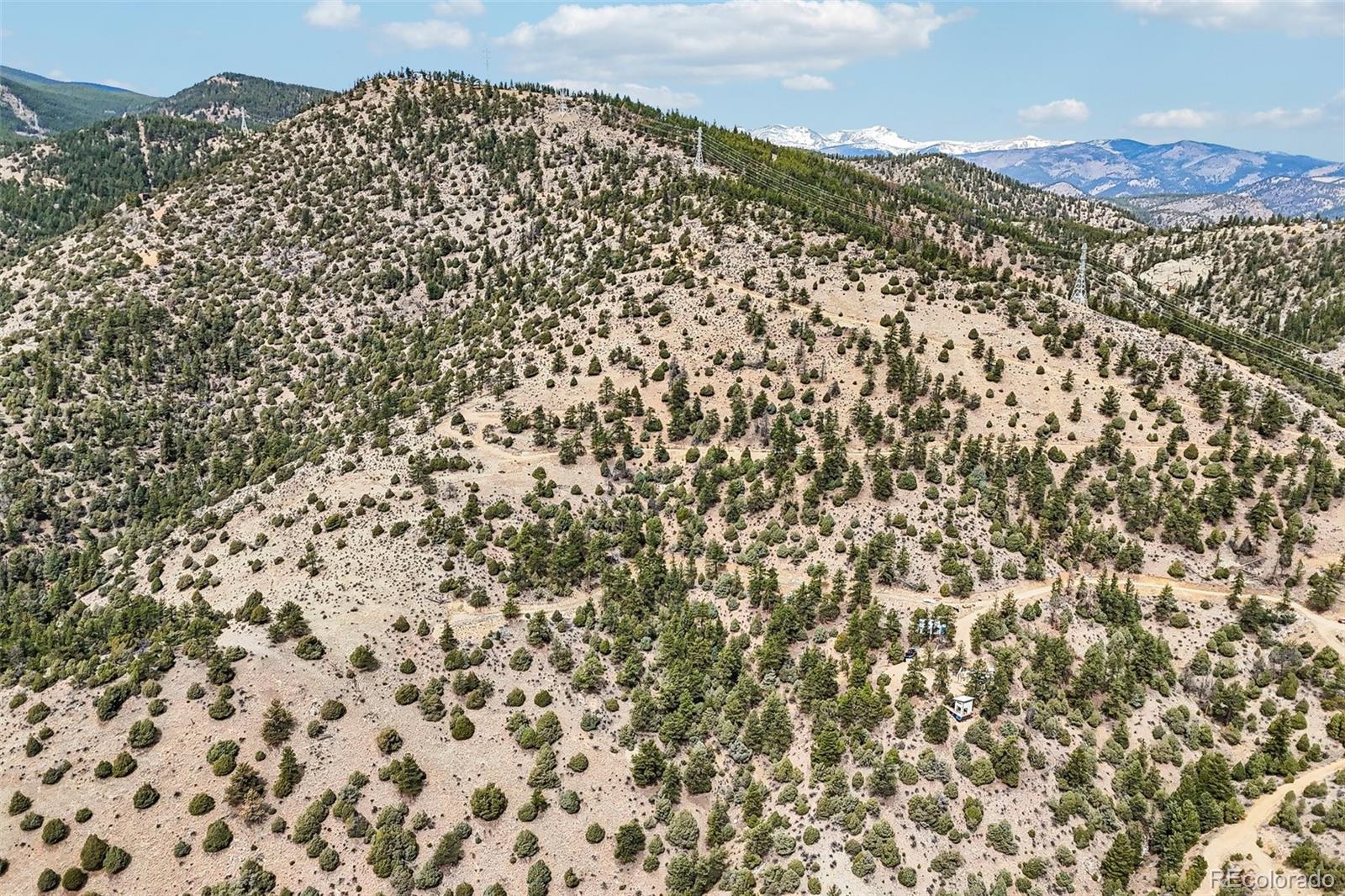 257 Wildlife Trail Idaho Springs CO 80453