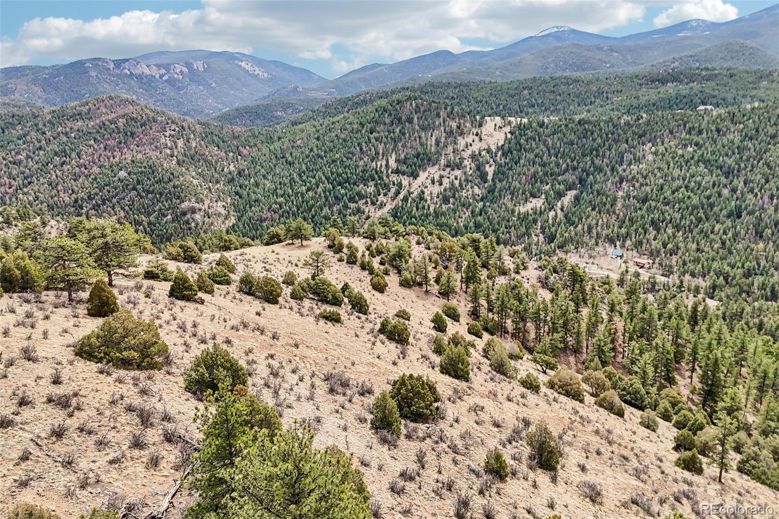 257 Wildlife Trail Idaho Springs CO 80453