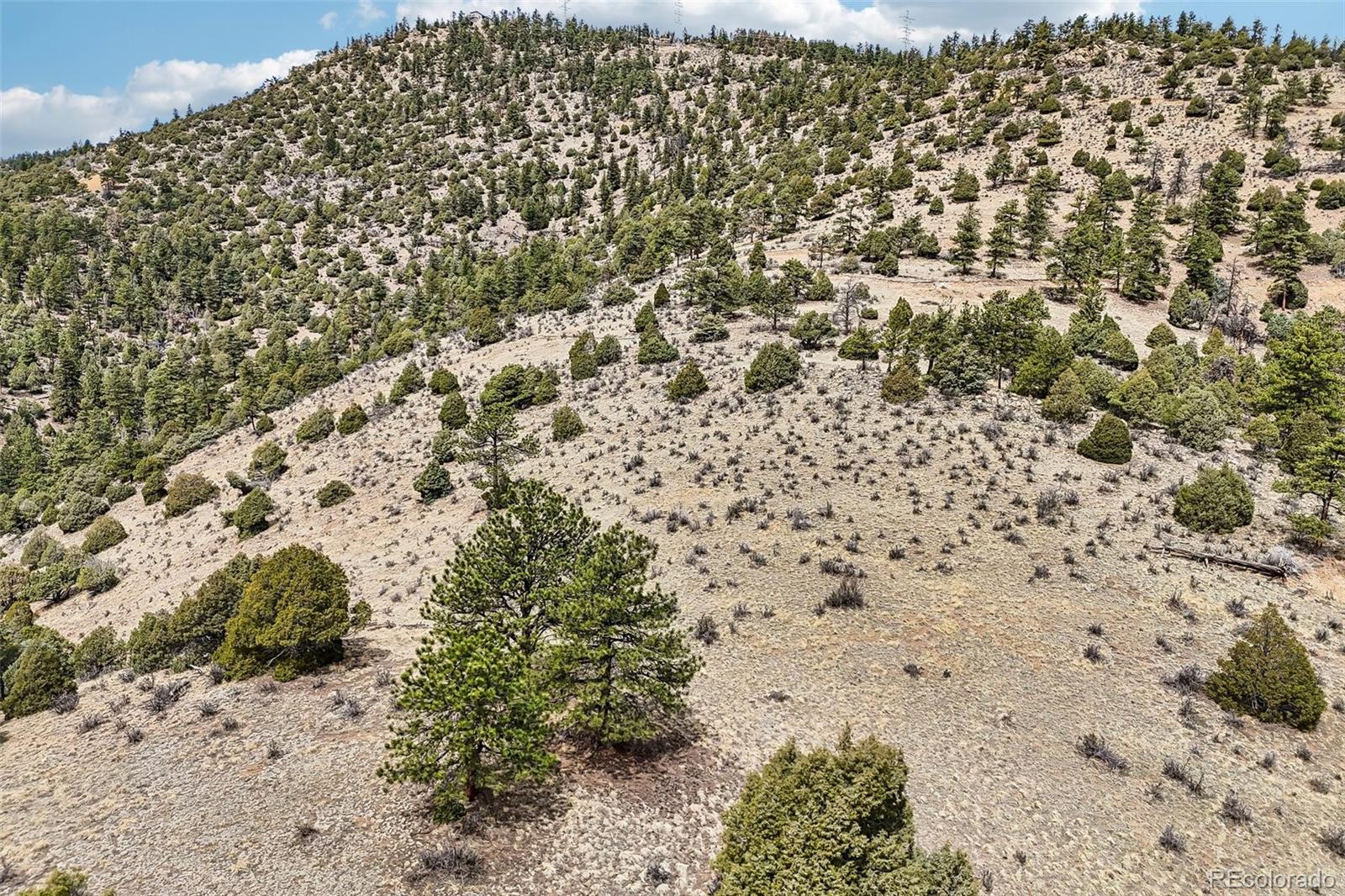 257 Wildlife Trail Idaho Springs CO 80453