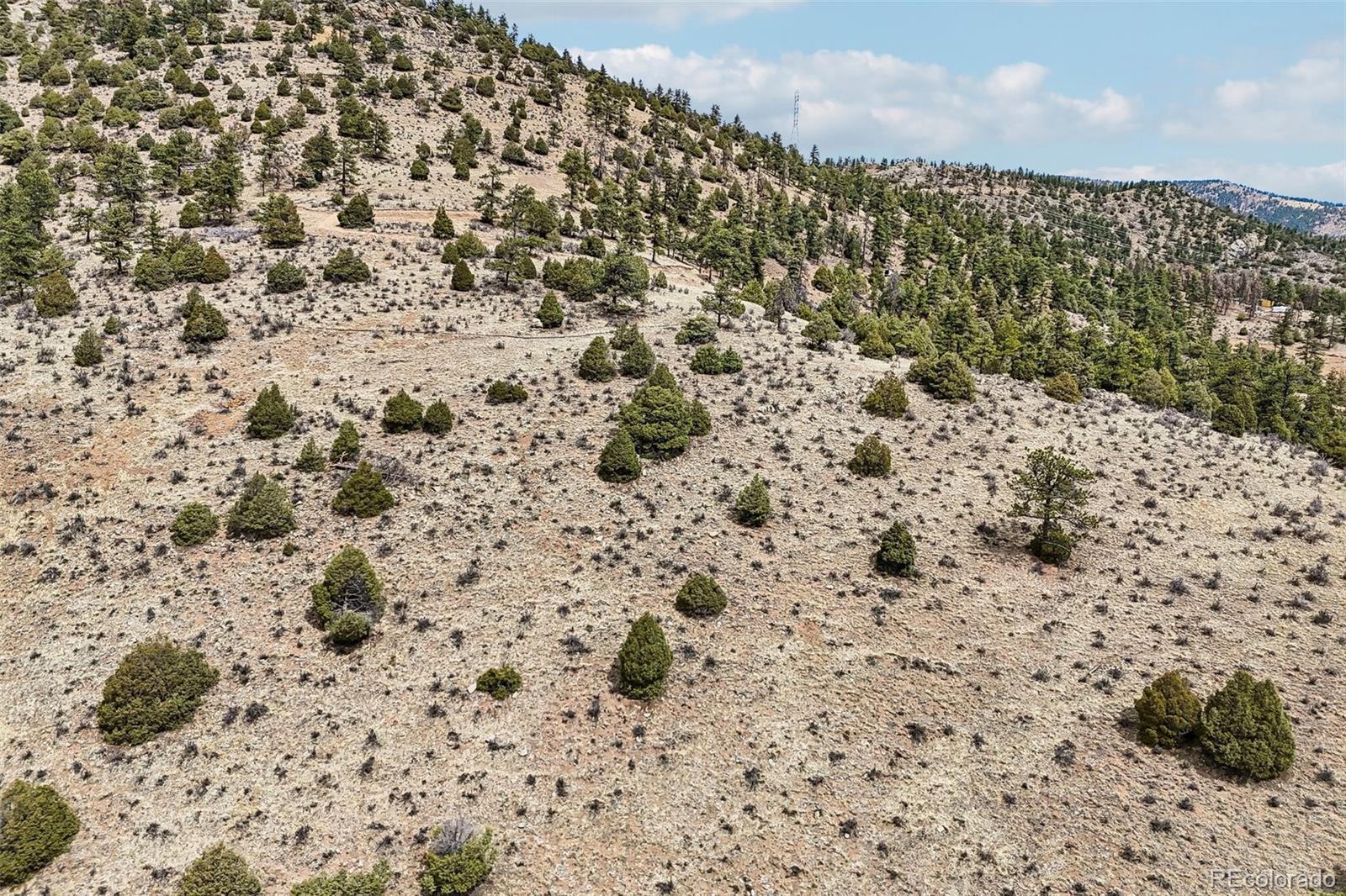 257 Wildlife Trail Idaho Springs CO 80453