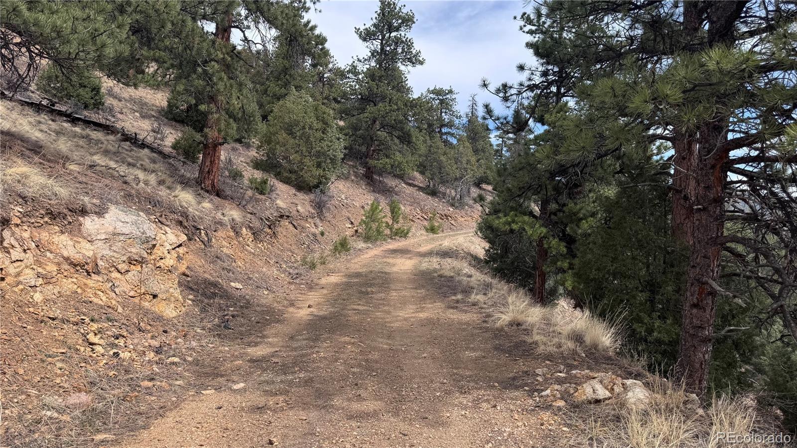 257 Wildlife Trail Idaho Springs CO 80453