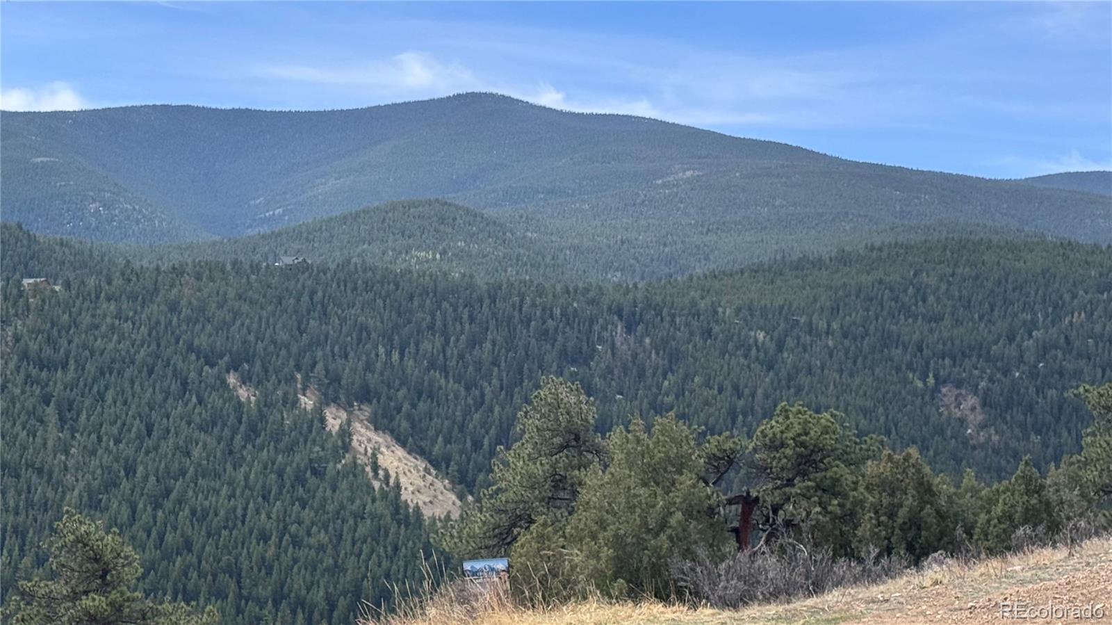 257 Wildlife Trail Idaho Springs CO 80453