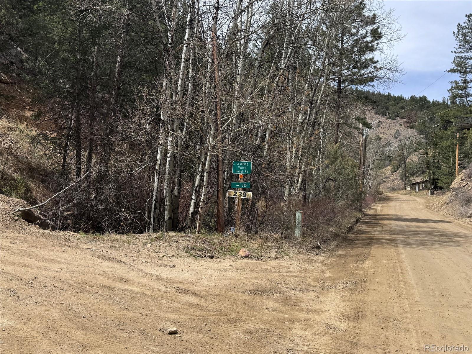 257 Wildlife Trail Idaho Springs CO 80453