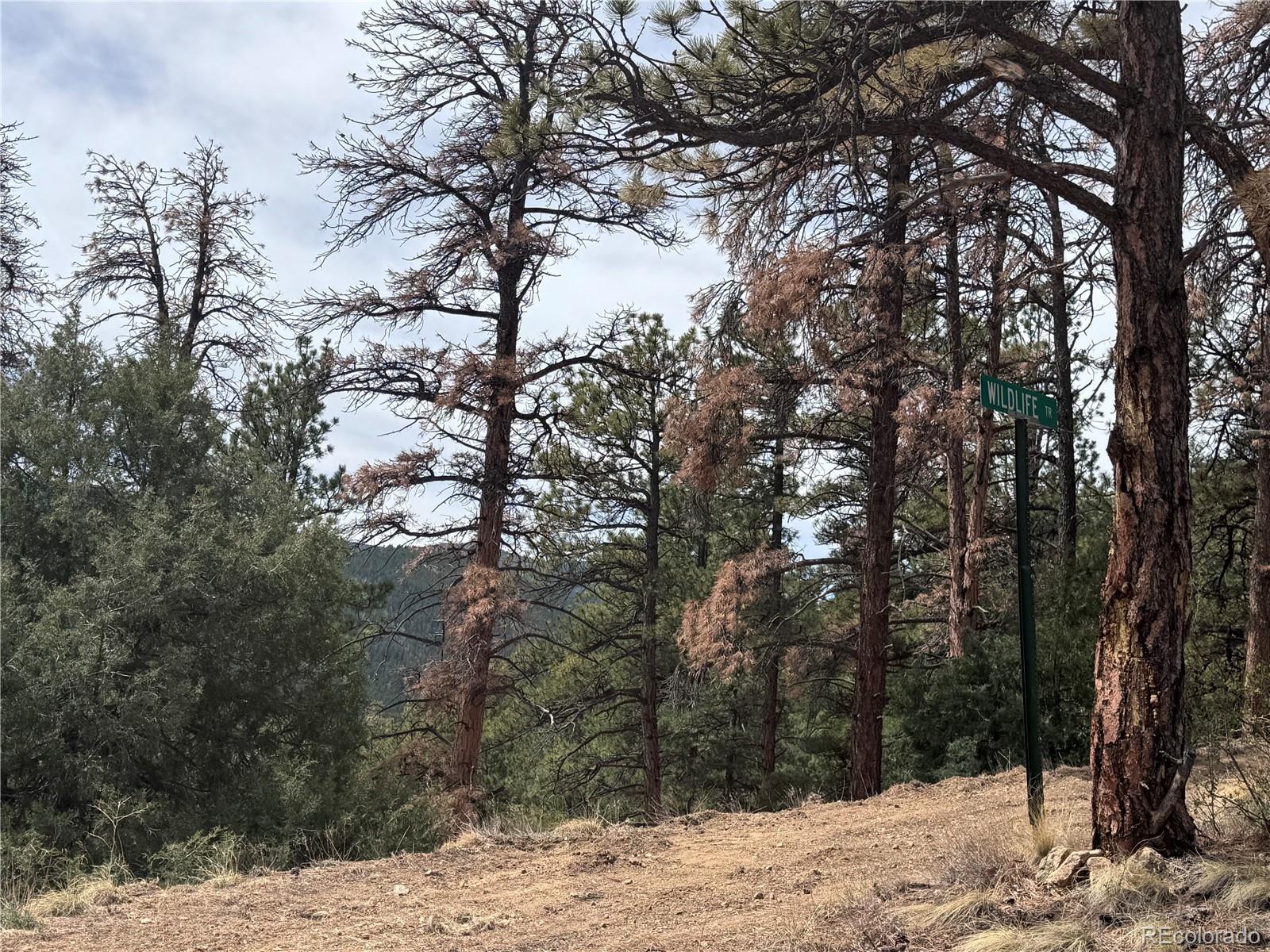 257 Wildlife Trail Idaho Springs CO 80453
