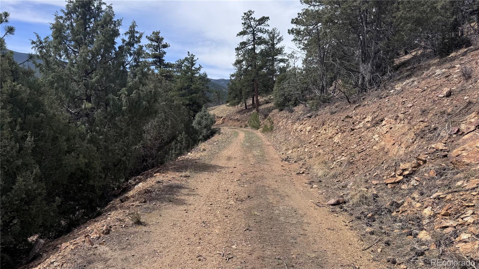 257 Wildlife Trail Idaho Springs CO 80453