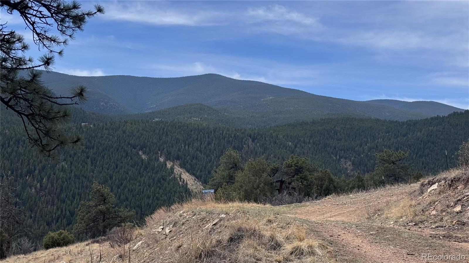 257 Wildlife Trail Idaho Springs CO 80453