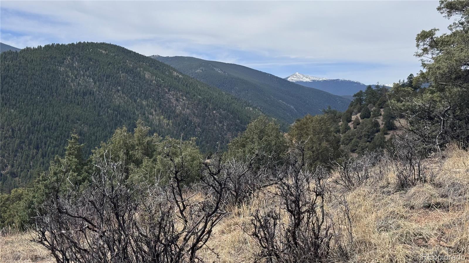 257 Wildlife Trail Idaho Springs CO 80453