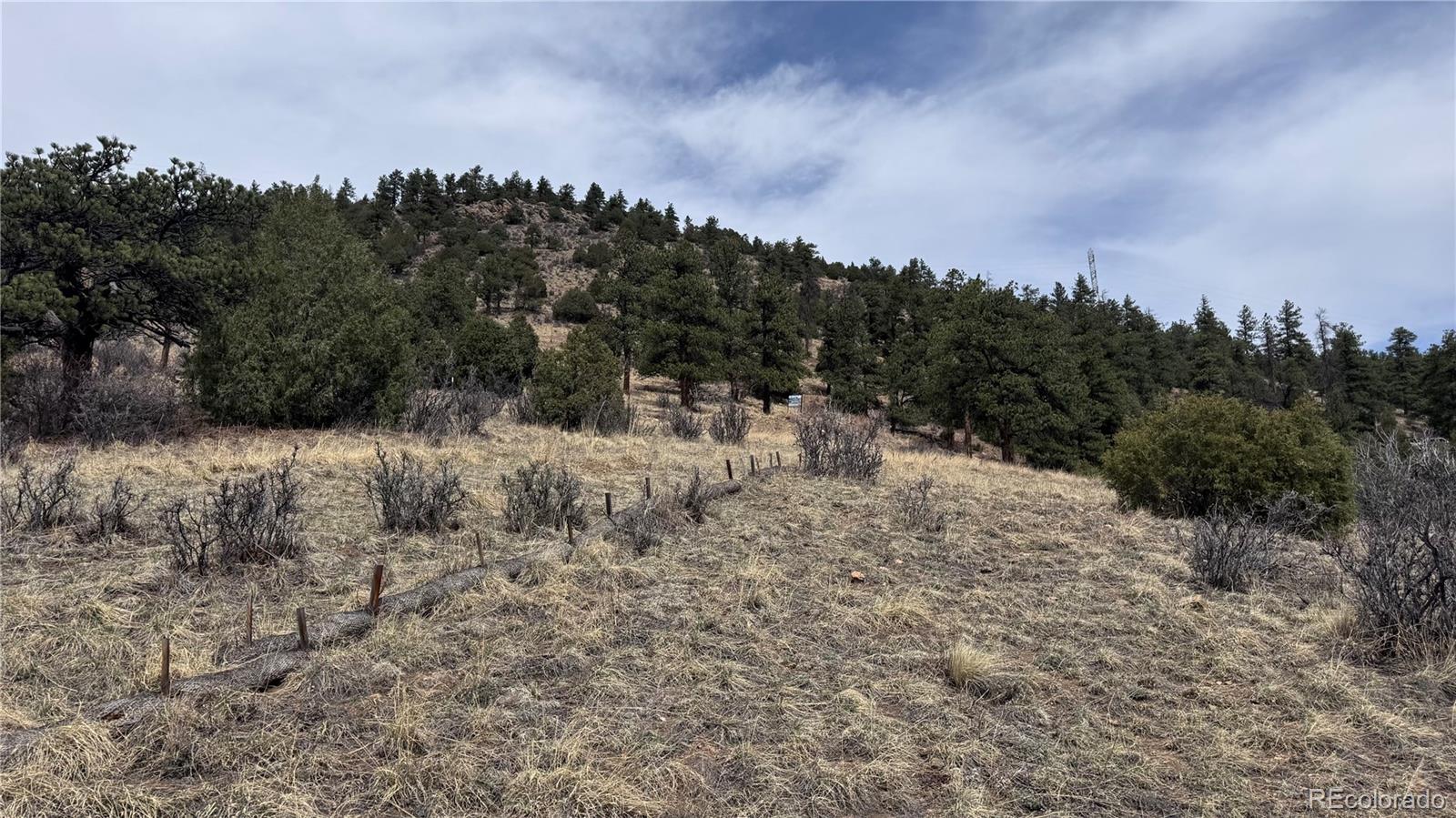 257 Wildlife Trail Idaho Springs CO 80453