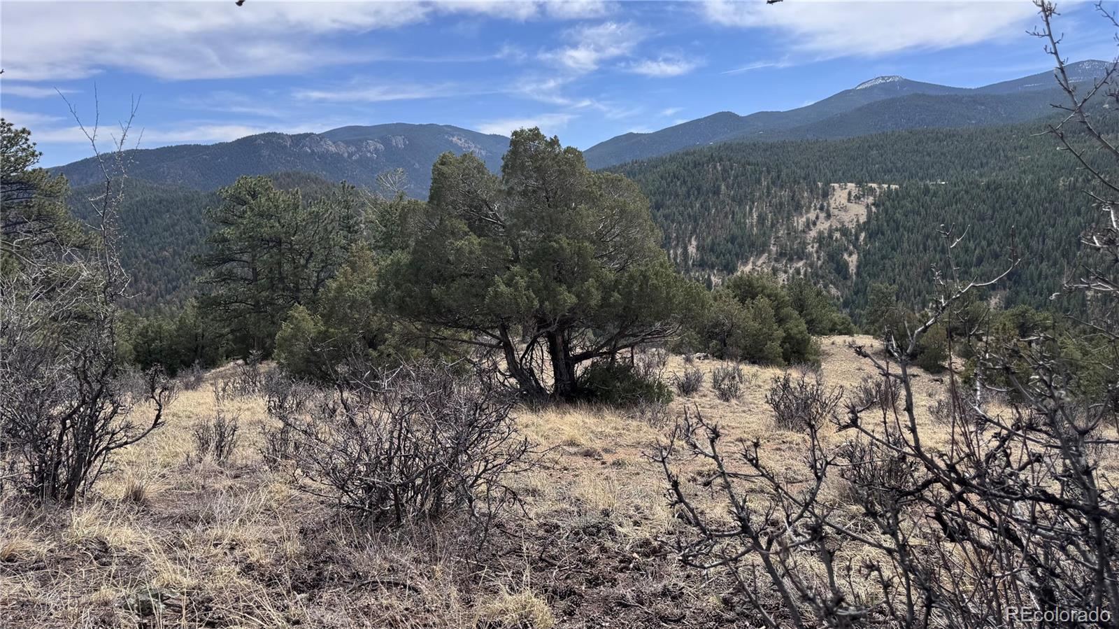 257 Wildlife Trail Idaho Springs CO 80453