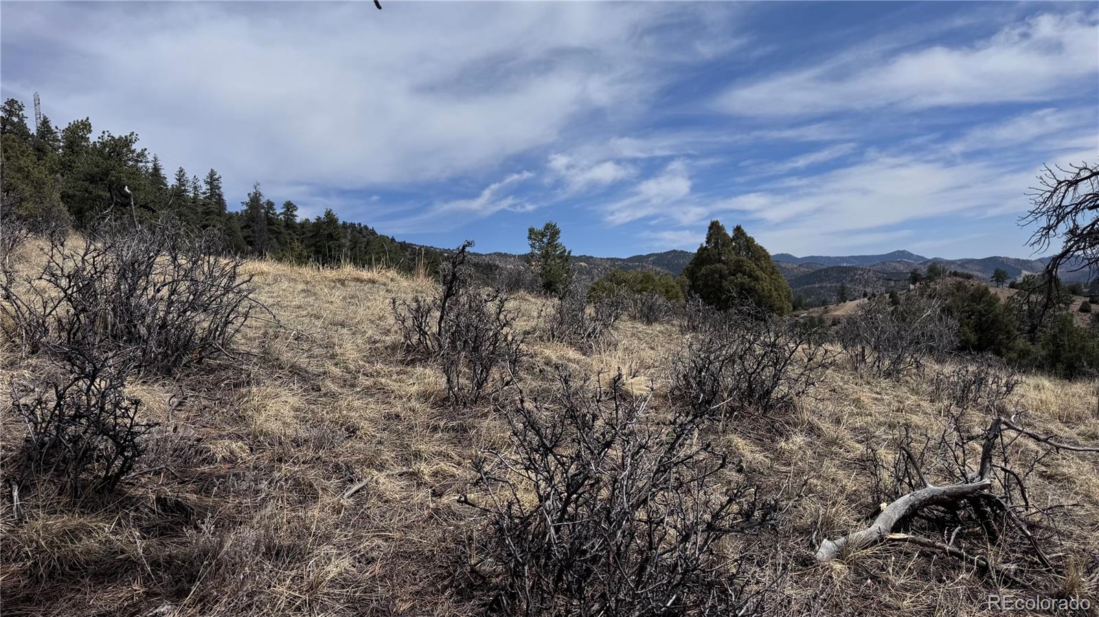 257 Wildlife Trail Idaho Springs CO 80453