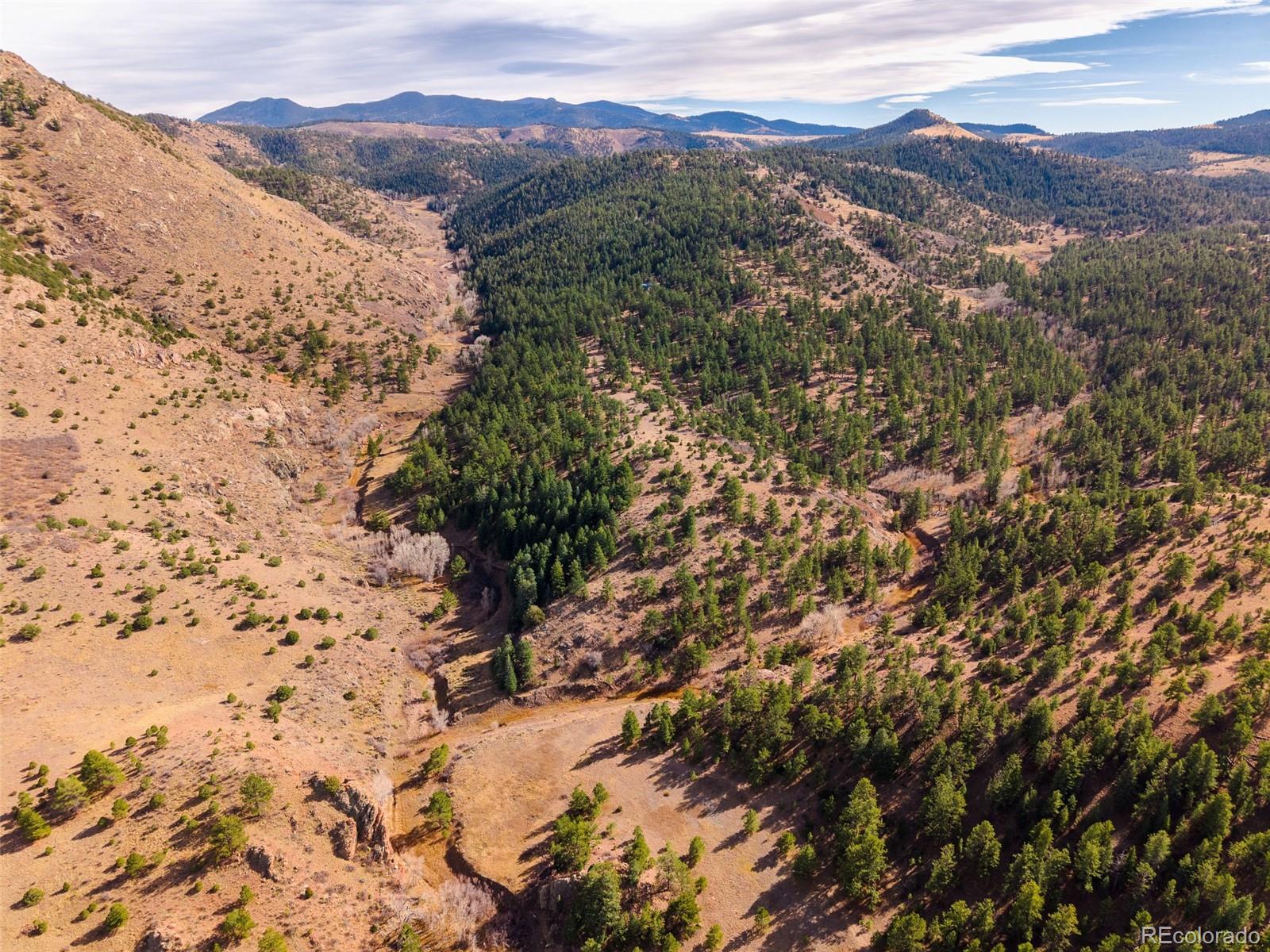 881 Vista De Aspen Road Westcliffe CO 81252