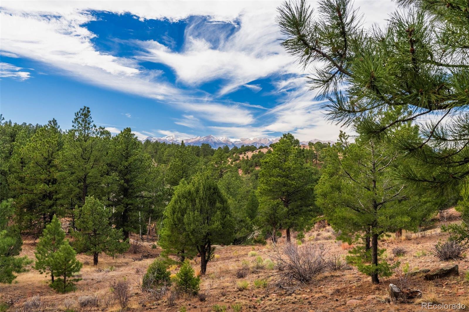 881 Vista De Aspen Road Westcliffe CO 81252