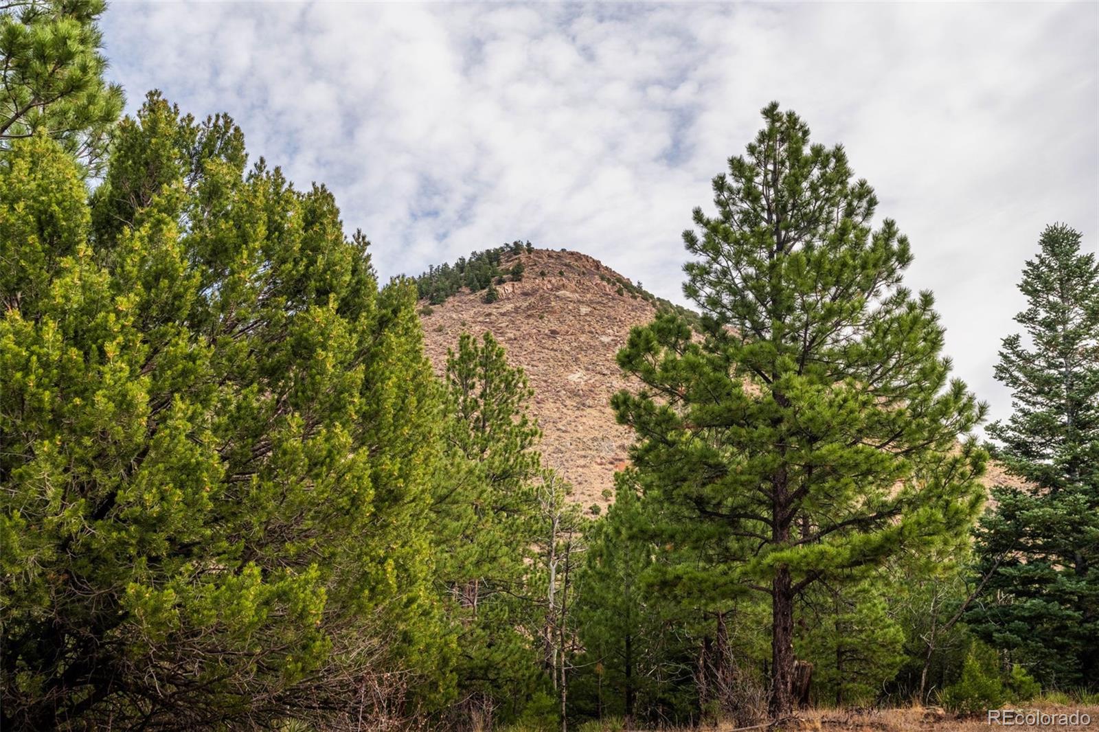 881 Vista De Aspen Road Westcliffe CO 81252