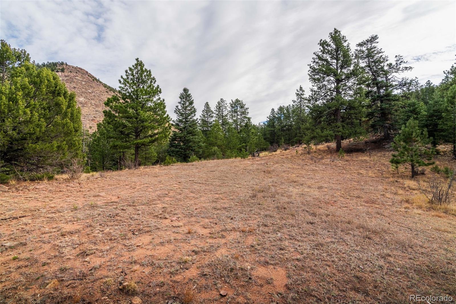 881 Vista De Aspen Road Westcliffe CO 81252