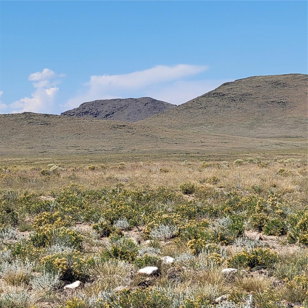 40 Ac 1st Street Melby Ranchettes San Luis CO 81152